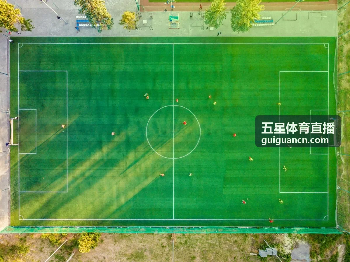五星体育直播电竞全球邀请赛战报
